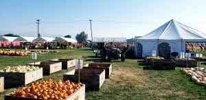 View Of Main Festival Area