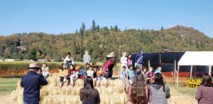 Playing on the Hay Pyramid