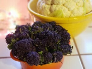 Purple Broccoli