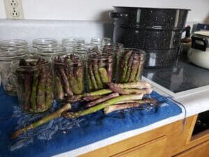 Canning Asparagus