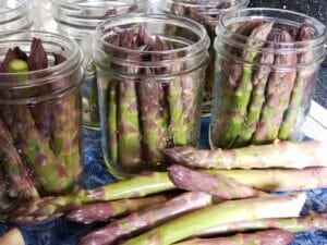 Filling Canning Jars