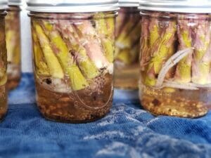 Pickled Asparagus