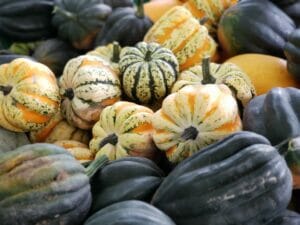 Vegetables Fort Vannoy Farms Farm Stand 7