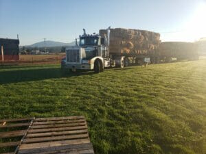 Grass Hay and Straw Fort Vannoy Farms 6