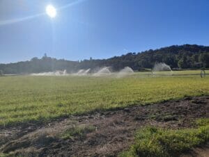 Grass Hay and Straw Fort Vannoy Farms 2