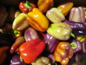 Vegetables Fort Vannoy Farms Farm Stand 4