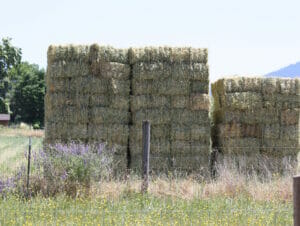 Grass Hay and Straw Fort Vannoy Farms 3