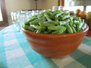 Green Beans Fort Vannoy Farms Farm Stand 3