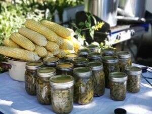 Green Beans Fort Vannoy Farms Farm Stand