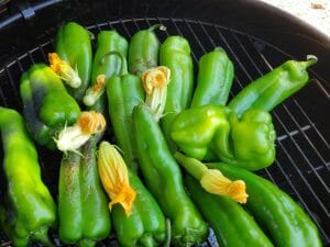 Peppers Fort Vannoy Farms Farm Stand