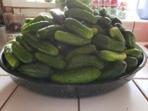 Picklers Fort Vannoy Farms Farm Stand