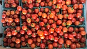 Cherry Tomatoes Fort Vannoy Farms Farm Stand 2