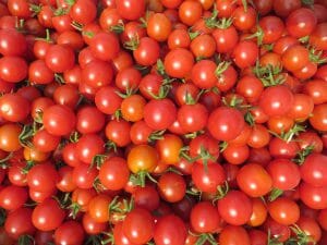 Cherry Tomatoes Fort Vannoy Farms Farm Stand