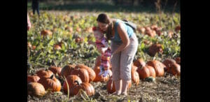 Mother Daughter Corn Maze Pumpkin Patch