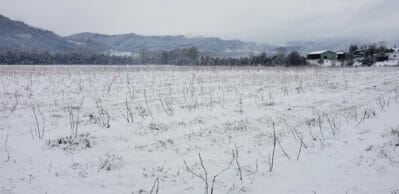 Snow on Farm Gardens